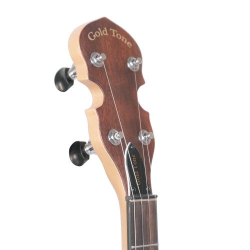 Gold Tone EB-5 Electric 5-String Banjo with Gig Bag