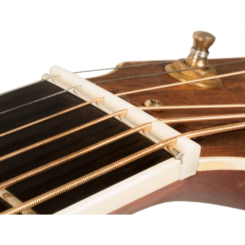 GOLD TONE  Tone Zero Glide Slotted Nut for Taylor Style Guitars, Left-Handed