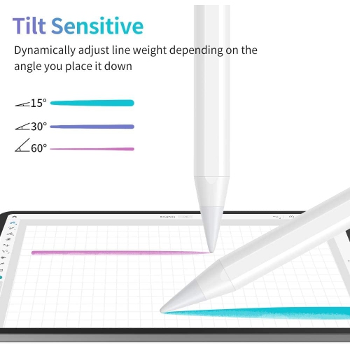 Stylus Pen for iPad with Palm Rejection, Active Pencil Compatible with iPad, iPad Pro 11/12.9, iPad 6/7/8/9,iPad Mini 5/6,iPad Air 3/4/5