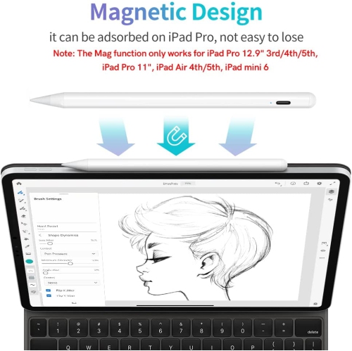 Stylus Pen for iPad with Palm Rejection, Active Pencil Compatible with iPad, iPad Pro 11/12.9, iPad 6/7/8/9,iPad Mini 5/6,iPad Air 3/4/5