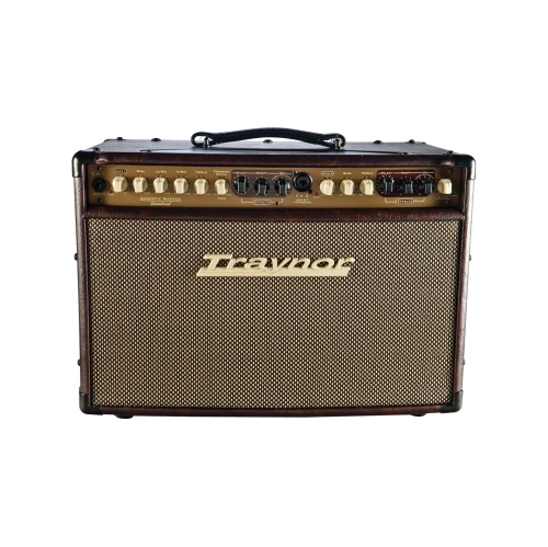 Traynor Amplificateur de guitare acoustique compact et stéréo à 2 canaux - 150 watts