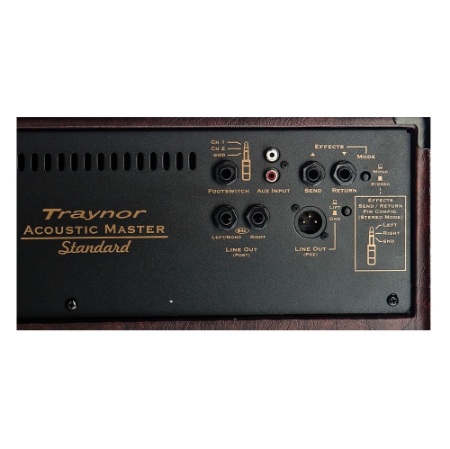 Traynor AM Standard 2-Channel Stereo Acoustic Guitar Amp - 150 Watts