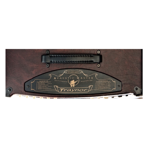 Traynor AM Standard 2-Channel Stereo Acoustic Guitar Amp - 150 Watts