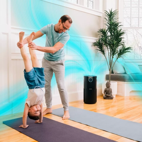 Shark Air Purifier Max With True Nanoseal Hepa, Cleansense Iq, Odor Lock, Cleans Up To 1200 Sq. Ft, Charcoal Gray, Hp202