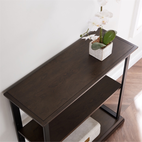 11832-DEMB Finnick Mixed Metal and Wood Bookshelf in Dark Earth/Matte Black