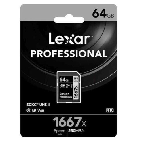 Lexar Professional 1667x SD - Brand New
