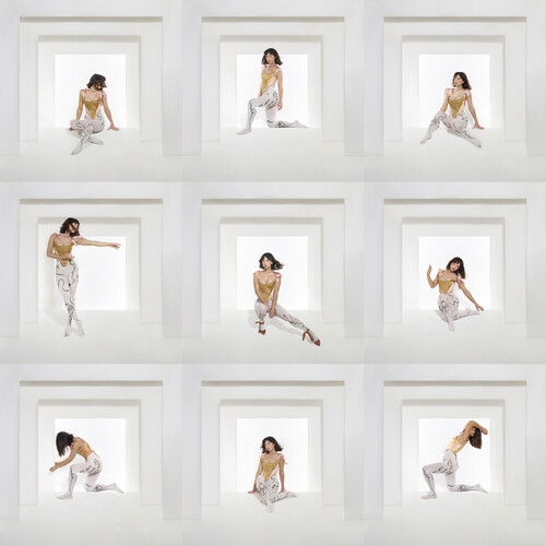 Foxes! - The Kick [CD]