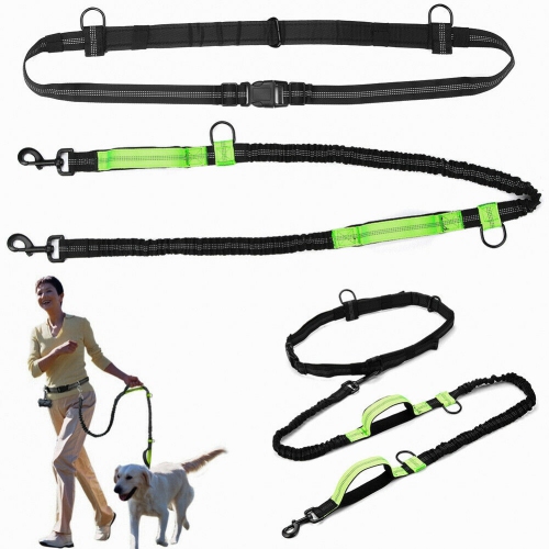 Ceinture ajustable pour chien avec deux élastiques mains libres pour la course et le jogging