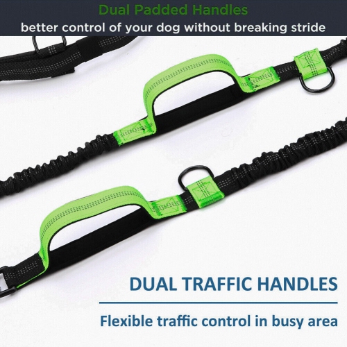 Ceinture ajustable pour chien avec deux élastiques mains libres pour la course et le jogging