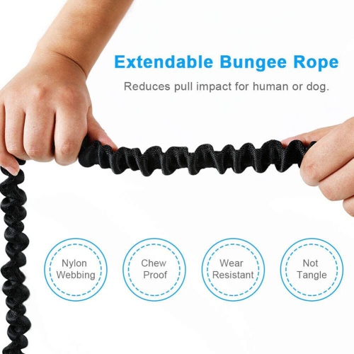 Ceinture ajustable pour chien avec deux élastiques mains libres pour la course et le jogging