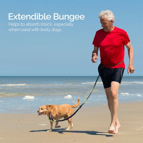 Ceinture ajustable pour chien avec deux élastiques mains libres pour la course et le jogging