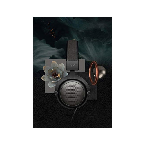 Beyerdynamic T1 High-End Tesla Headphones