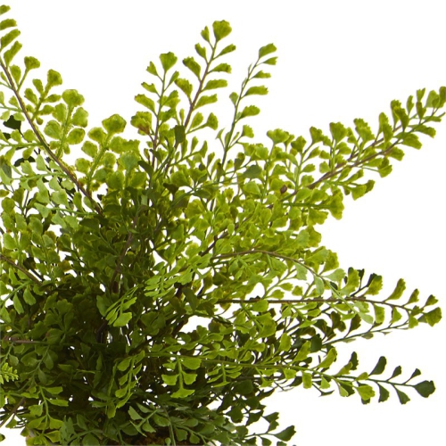 14" Assorted Ferns with Planter Artificial Plant in Green/Gray