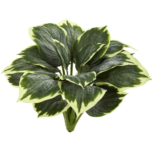 NEARLY NATURAL  Variegated Hosta Artificial Plant (Set Of 6) In In Green