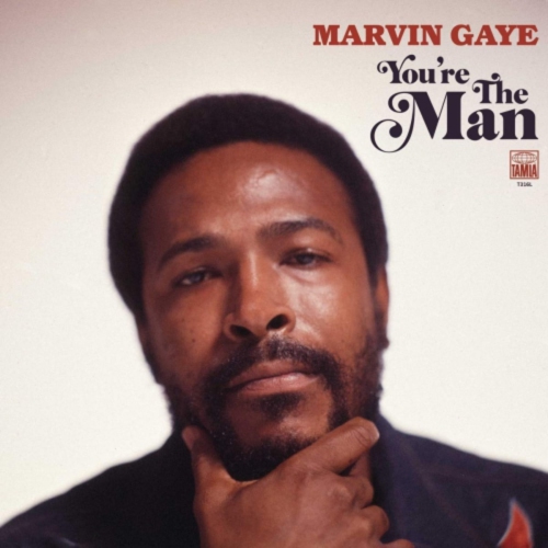 MOTOWN  Marvin Gaye - You're The Man - [Vinyl]