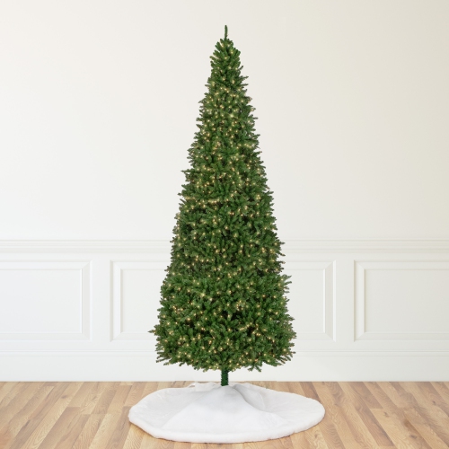 15' Pre-Lit Genoa Fraser Fir Slim Artificial Christmas Tree - Clear Lights