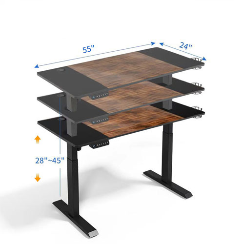 LjubLjana 53" Electric Height Adjustable Sit-Stand Desk - Wood/Black