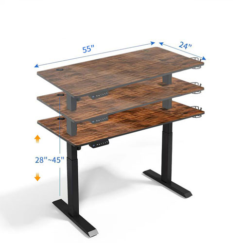 LjubLjana 53" Electric Height Adjustable Sit-Stand Desk - Wood