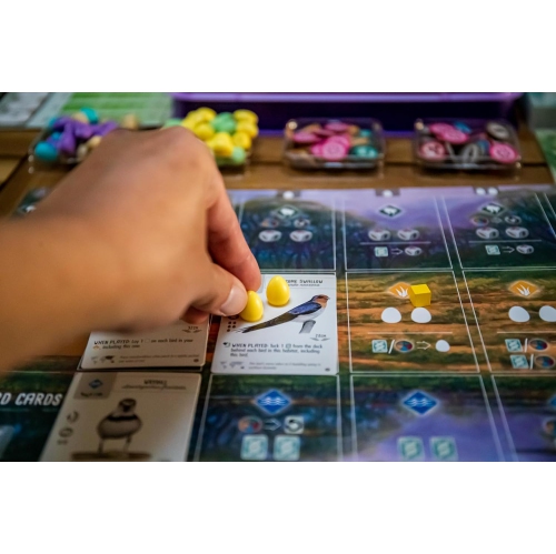 Stonemaier Games Wingspan: Oceania Expansion 1-5 players, ages 10+, 40-70 minutes