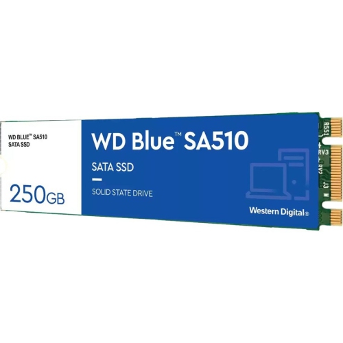 WD Blue 250GB SATA Internal Solid State Drive -