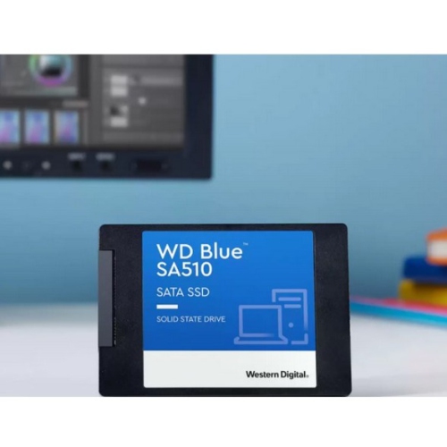 WD WDS500G3B0A Blue WDS500G3B0A Solid State Drive