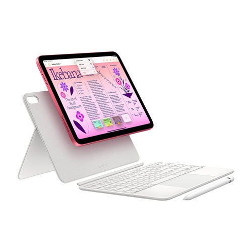 Apple iPad 10.9" 256GB with Wi-Fi 6 (10th Generation) - Pink