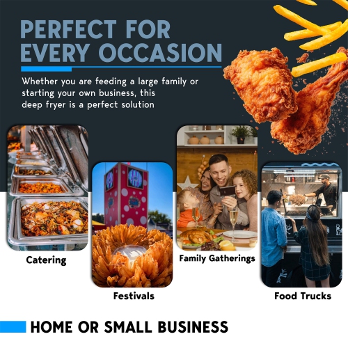 Biltek Double Deep Fryer with Baskets for Home Use and Small Business, Commercial Electric Deep Fryer, 2 x Large Removable Baskets, Outdoor Electric