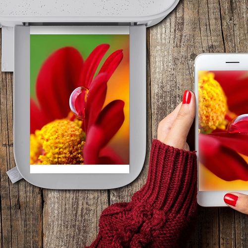 HP Sprocket Studio Plus 4 x 6” Photo Paper and Cartridges, White