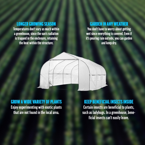 Biltek 11ft Portable Walk-In Garden Greenhouse Outdoor Green House for Fruits, Vegetables, Plants, and Flowers - 11' Long x 10' Wide x 7' High