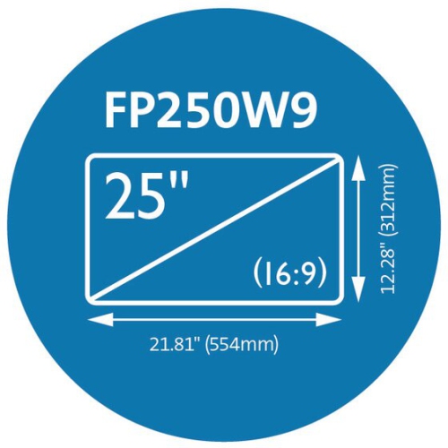 Kensington FP250W9 25" Monitor Privacy Screen Protector -