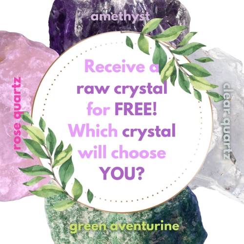 Shiva’s Stone Crystal Infused Water Bottle - Rose Quartz