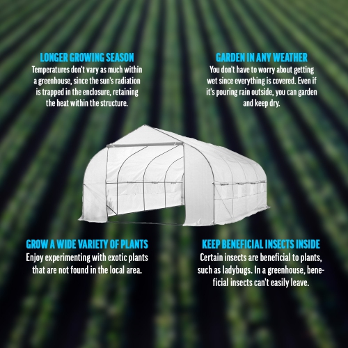 KapscoMoto Large 20ft Portable Greenhouse Outdoor Walk In Green House Hothouse for Fruits, Vegetables, Plants, and Flowers - 20ft L x 10ft W x 7ft H