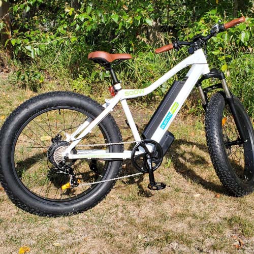 Vélo électrique EM-Mountain – cadre strié solide mais simple, puissant moteur à moyeu arrière de 500 W Bafang et composants haut de gamme, y compris