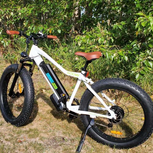 Vélo électrique EM-Mountain – cadre strié solide mais simple, puissant moteur à moyeu arrière de 500 W Bafang et composants haut de gamme, y compris