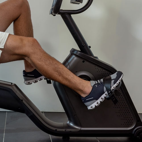 Schwinn 290 Recumbent Bike - Free 2-Month JRNY Membership*