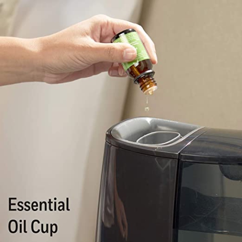 Humidificateur à vapeur chaude Soothing Comfort HWM845BC de Honeywell