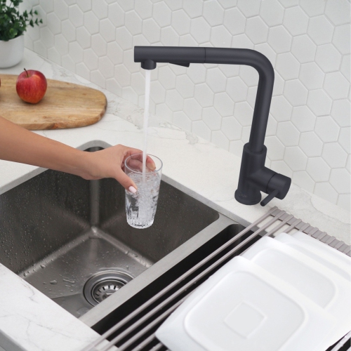 K130NK147N Single Handle Pull Down Kitchen Faucet with Cold Water Tap in Black