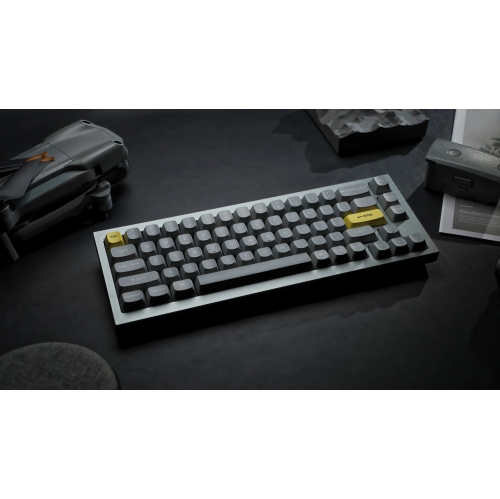 Keychron Q2 RGB Hotswap Mechanical Gaming Keyboard – 65% Layout, Gateron Pro Red Switches with Knob – Compatible with Windows & macOS, Grey