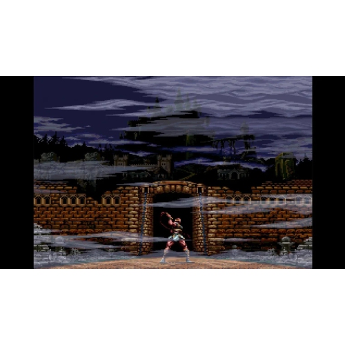 Castlevania Anniversary Collection - Ultimate Edition - Limited Run #106 [Nintendo Switch]