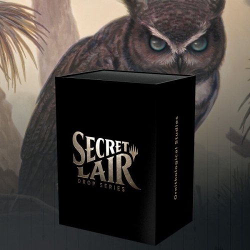 Magic: The Gathering TCG - Secret Lair Drop Series - Ornithological Studies  [Card Game, 2 Players]