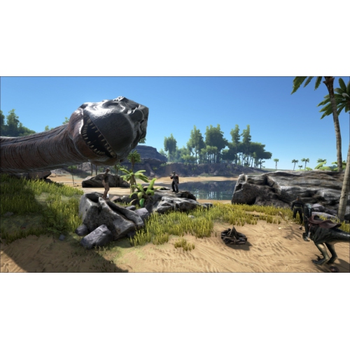 ARK&nbsp;: Survival Evolved [PlayStation 4]