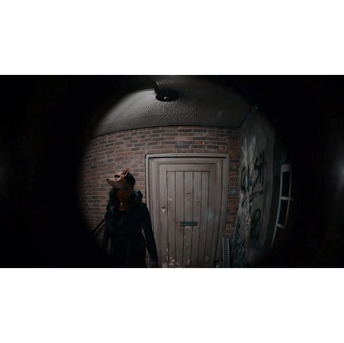 Erica - Limited Run #403 [PlayStation 4]