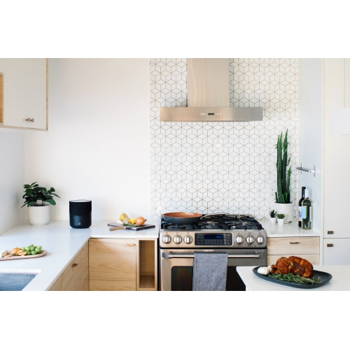 Bluesound Pulse M Omni-Hybrid Wireless Music Streaming Speaker with Bluetooth - Black - Compatible with Alexa and Siri