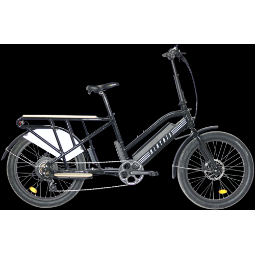 Skycap 2 – vélo utilitaire électrique Ultimate, moteur de 500 W, deux batteries, portée de 100 km, freins hydrauliques, Pneus de 3 po, accélérateur e