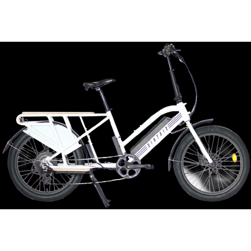 Skycap 2 – vélo utilitaire électrique Ultimate, moteur de 500 W, deux batteries, portée de 100 km, freins hydrauliques, Pneus de 3 po, accélérateur e