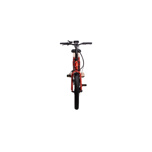 Skycap 2 - Ultimate Electric Cargo Bike, 500W motor, Dual Battery Capable, 100km Range, Hydraulic Brakes, 3" tires, Throttle and PAS