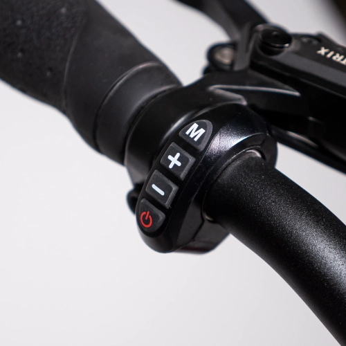 Skycap 2 - Ultimate Electric Cargo Bike, 500W motor, Dual Battery Capable, 100km Range, Hydraulic Brakes, 3" tires, Throttle and PAS