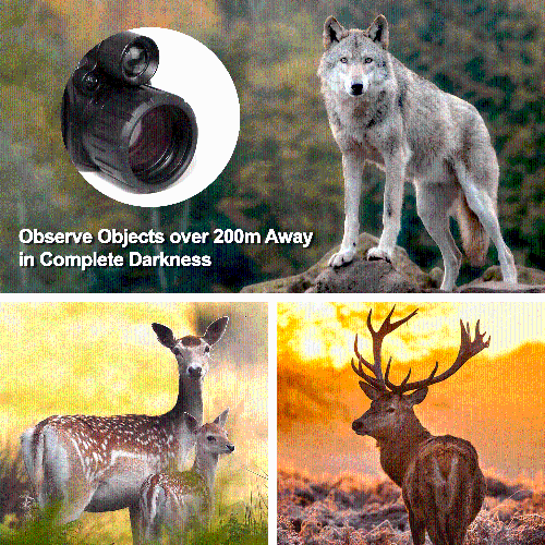 SX40 Digitial Night Vision Monocular