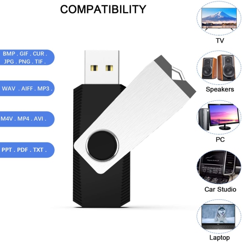 10 Pack 2GB Bulk USB Flash Drives Swivel Thumb Drive USB Memory Stick JumpDrive USB 2.0 Zip Drive