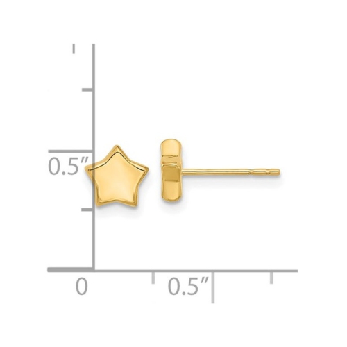 14K Yellow Gold Polished Star Post Earrings